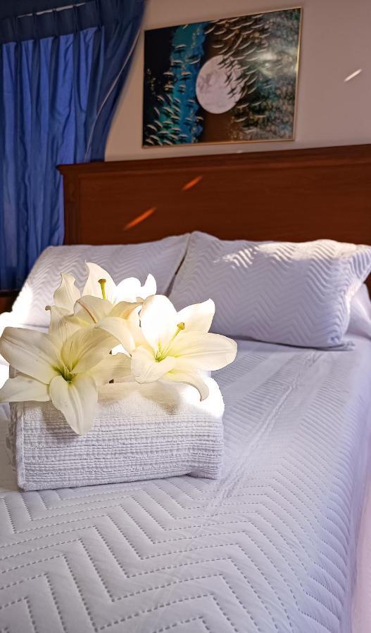 Elegance Hotel La Paz Zewnętrze zdjęcie
